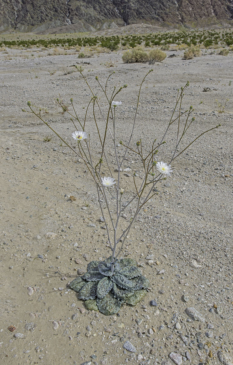 镇沅县职业高级中学烟草生产与加工专业2022年招生