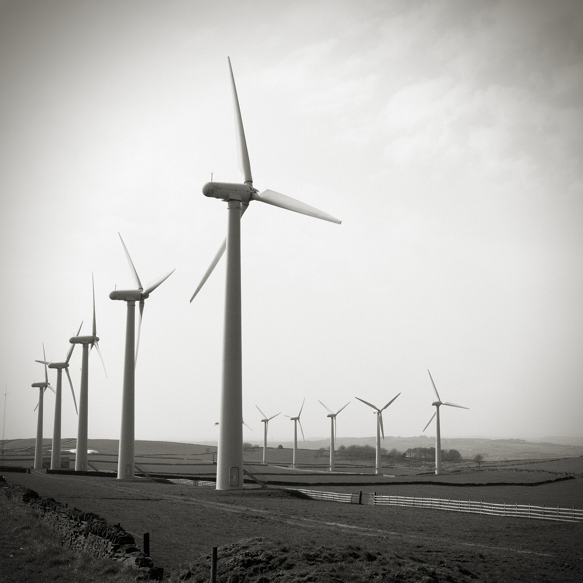 委托担任法定代表人协议书范本 | 法律文件法定代表人委托协议