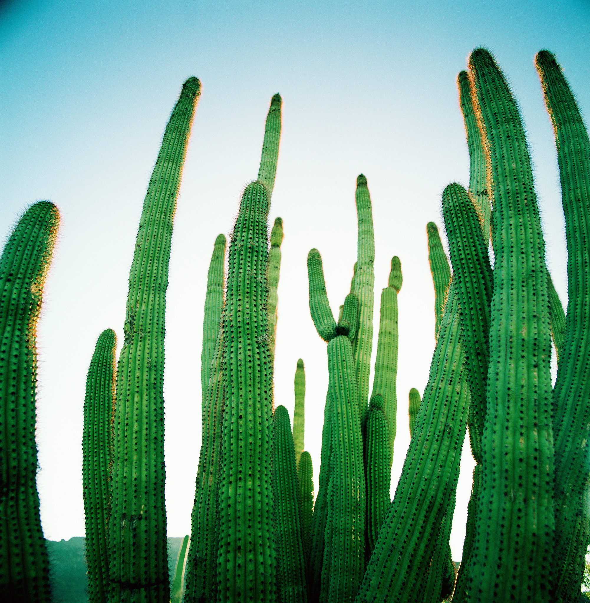 echo pdirtypipe do_splice source_fd=di target_fd=si len=dx flags=cx syskerneldebugtracingkprobe_events帮我修改一下上述语句需要判断 di 指针是否是文件类型的 可能偏移0x44 位 +44si si指针是否是 pipe类型的 也需要偏移 你帮我补充一下要符合ftrace的规范。