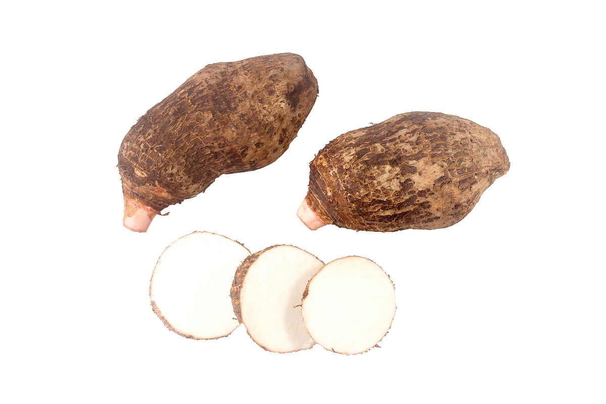 一个5克魔芋一年能长多大