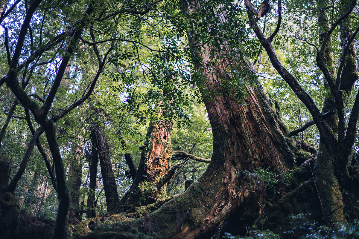 海德格尔Martin Heidegger1889-1976说的生产性是什么