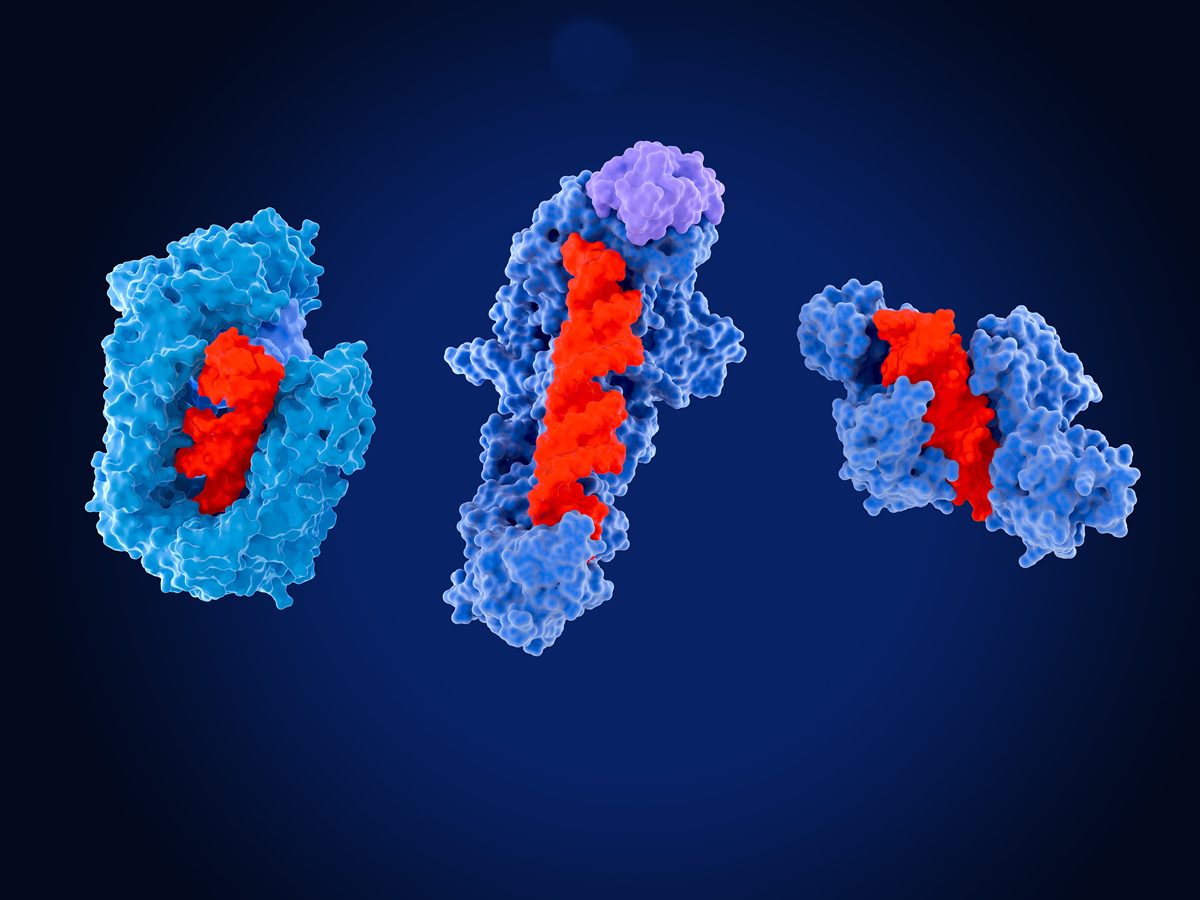 Fiber Microtome Research: Cutting-Edge Advances in Fiber Science