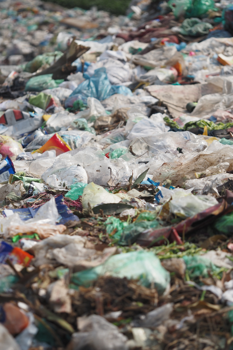 减少塑料污染青少年怎么做