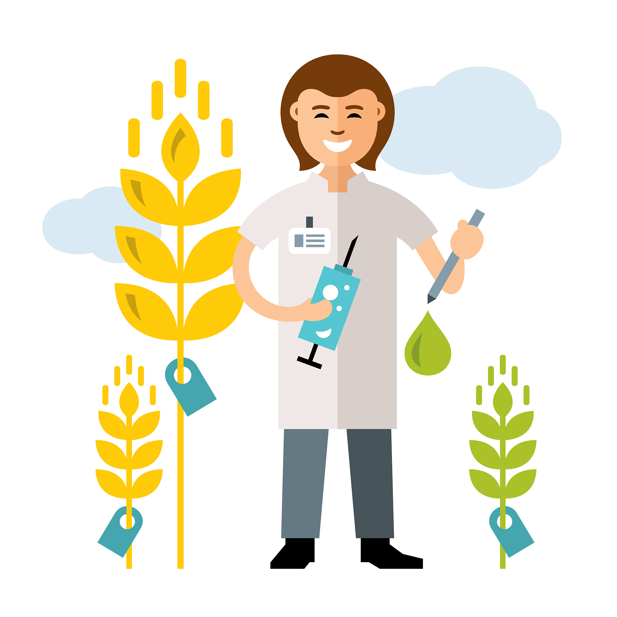 园艺植物育种方案