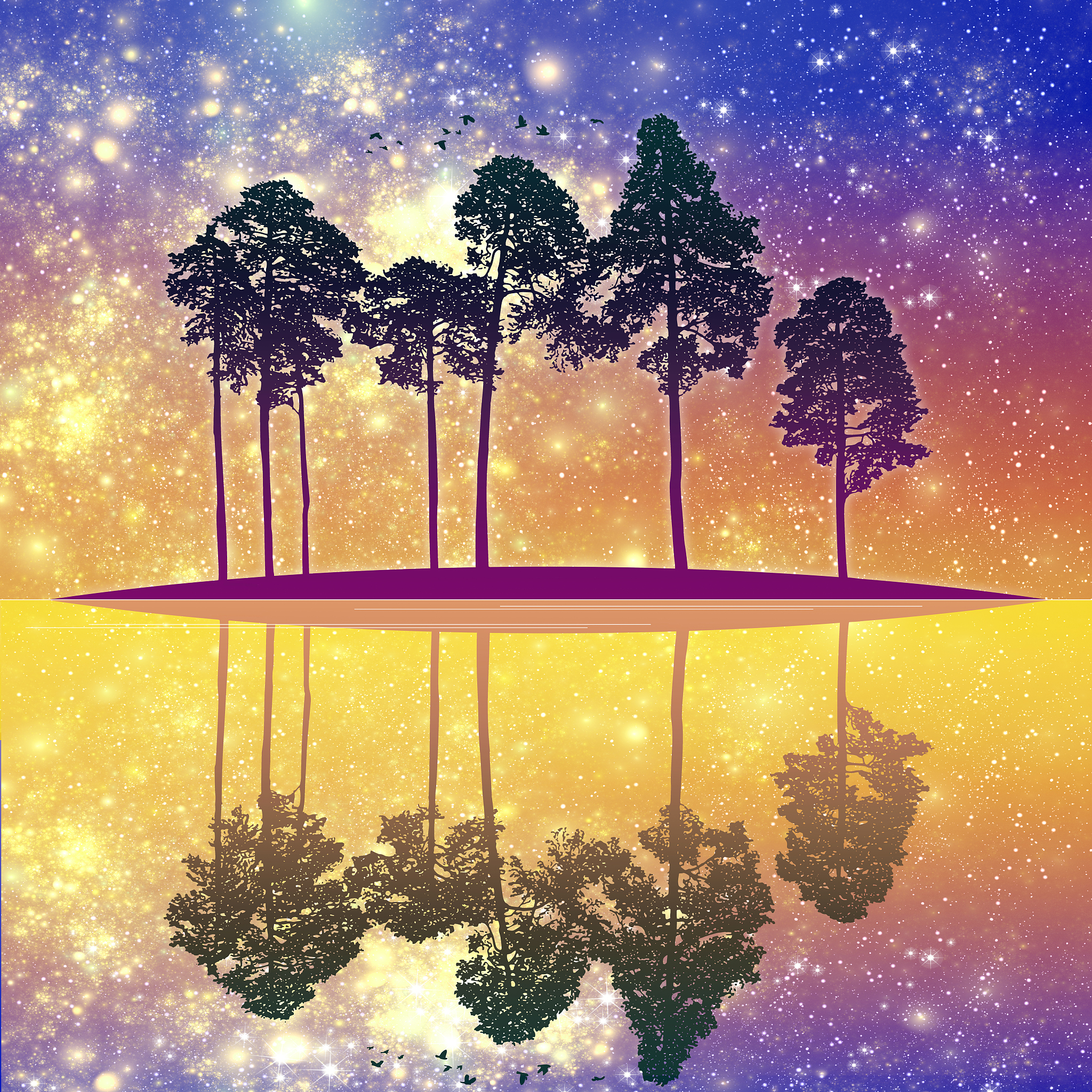 鸟儿如何找到回家的路？它们的秘密武器你绝对想不到！