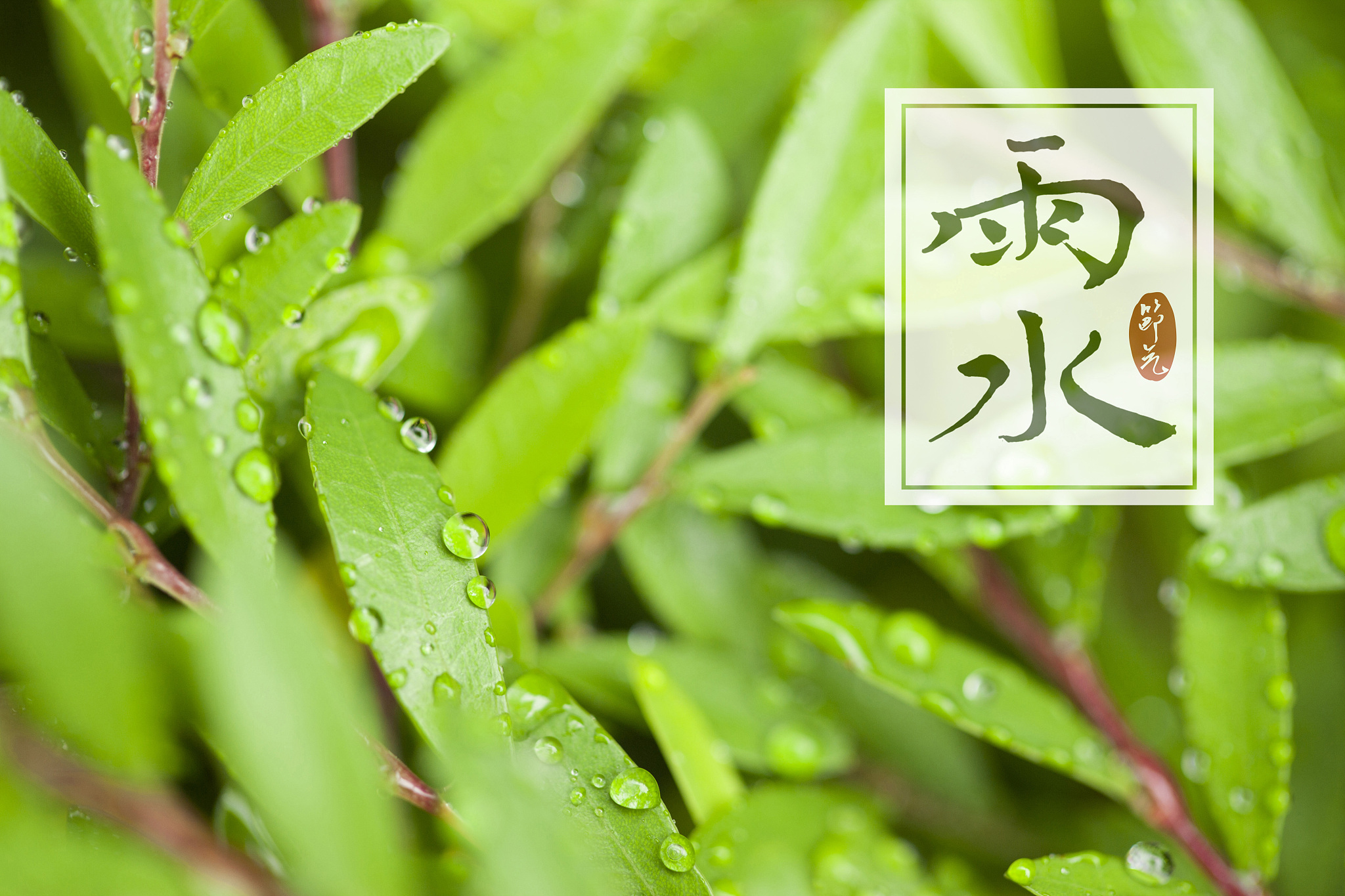 Tomb Sweeping Day: Connecting with Ancestors and Embracing Spring in Chinese Culture