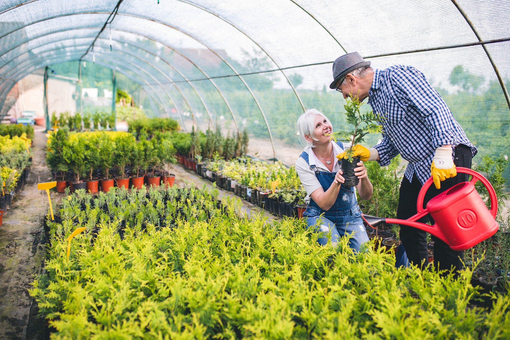 园艺技术专业（中高职一体化）就业前景分析：如何在这片绿意中创出一片天地？