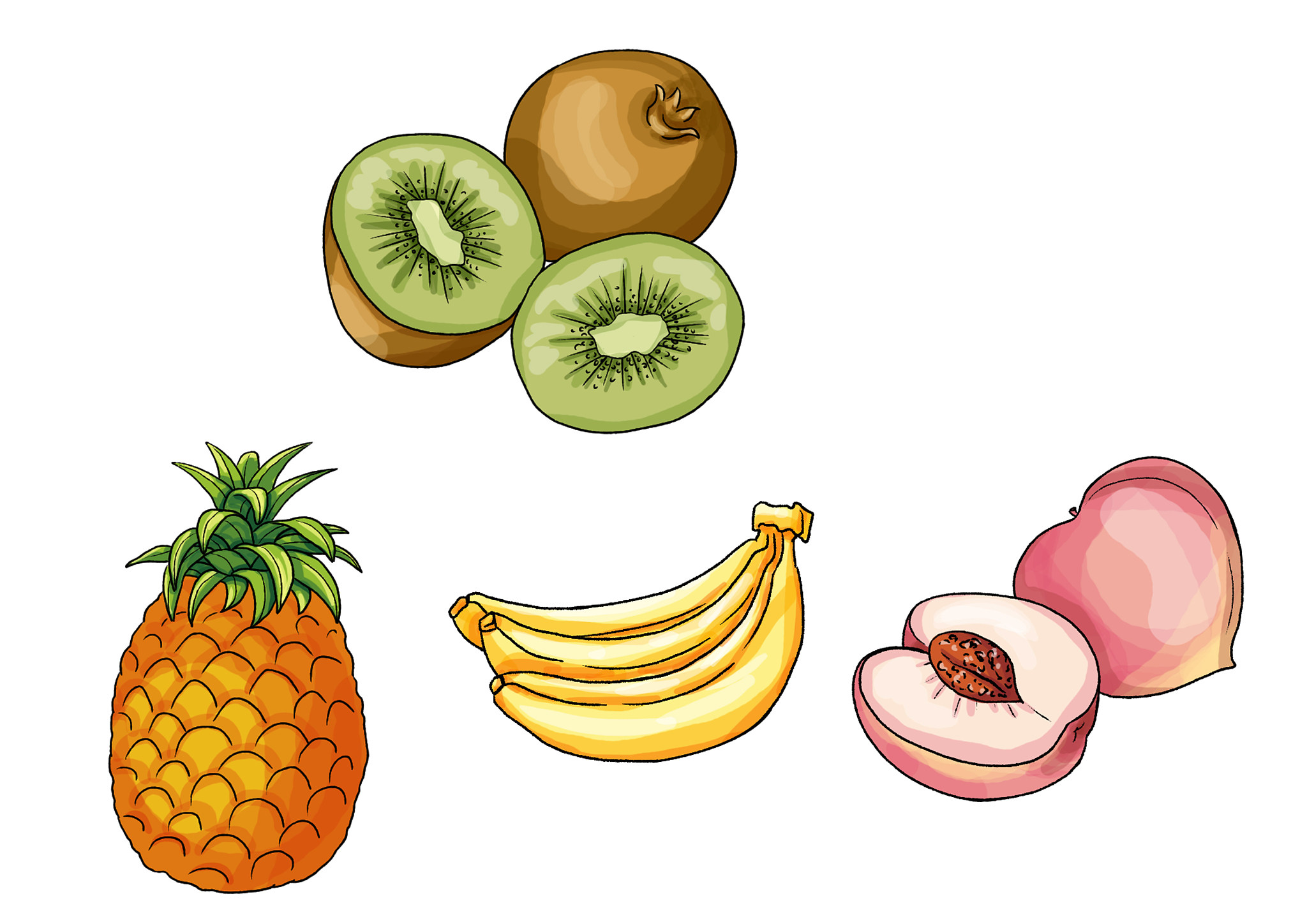 中班科学活动 认识水果教案