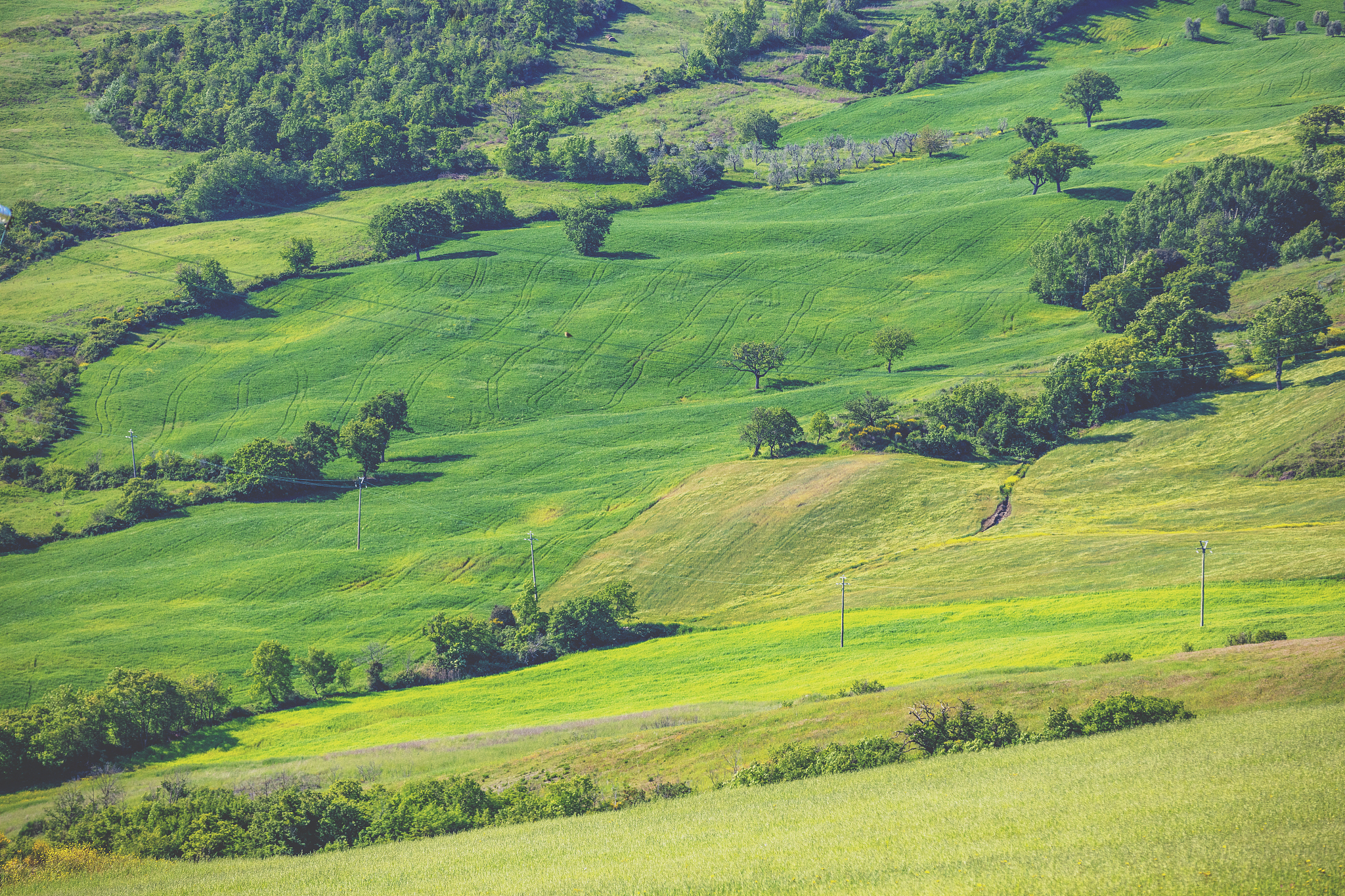 beautiful landscape, spring nature. view from above of sunny fie
