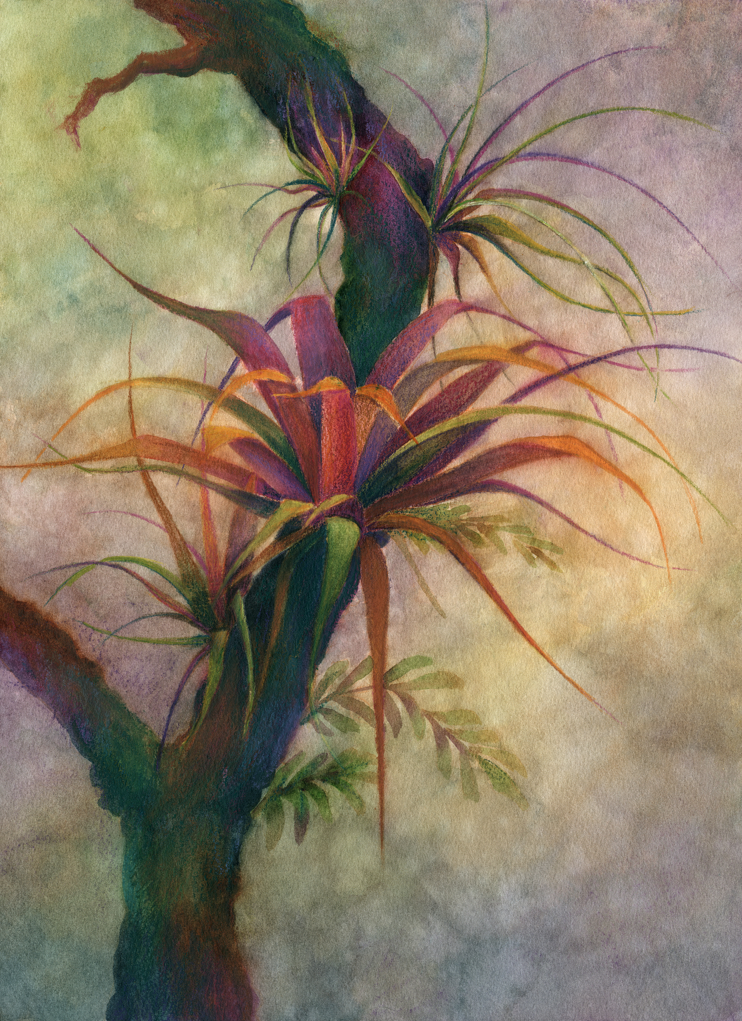 初二美术学习计划：提升绘画技巧，激发创意灵感