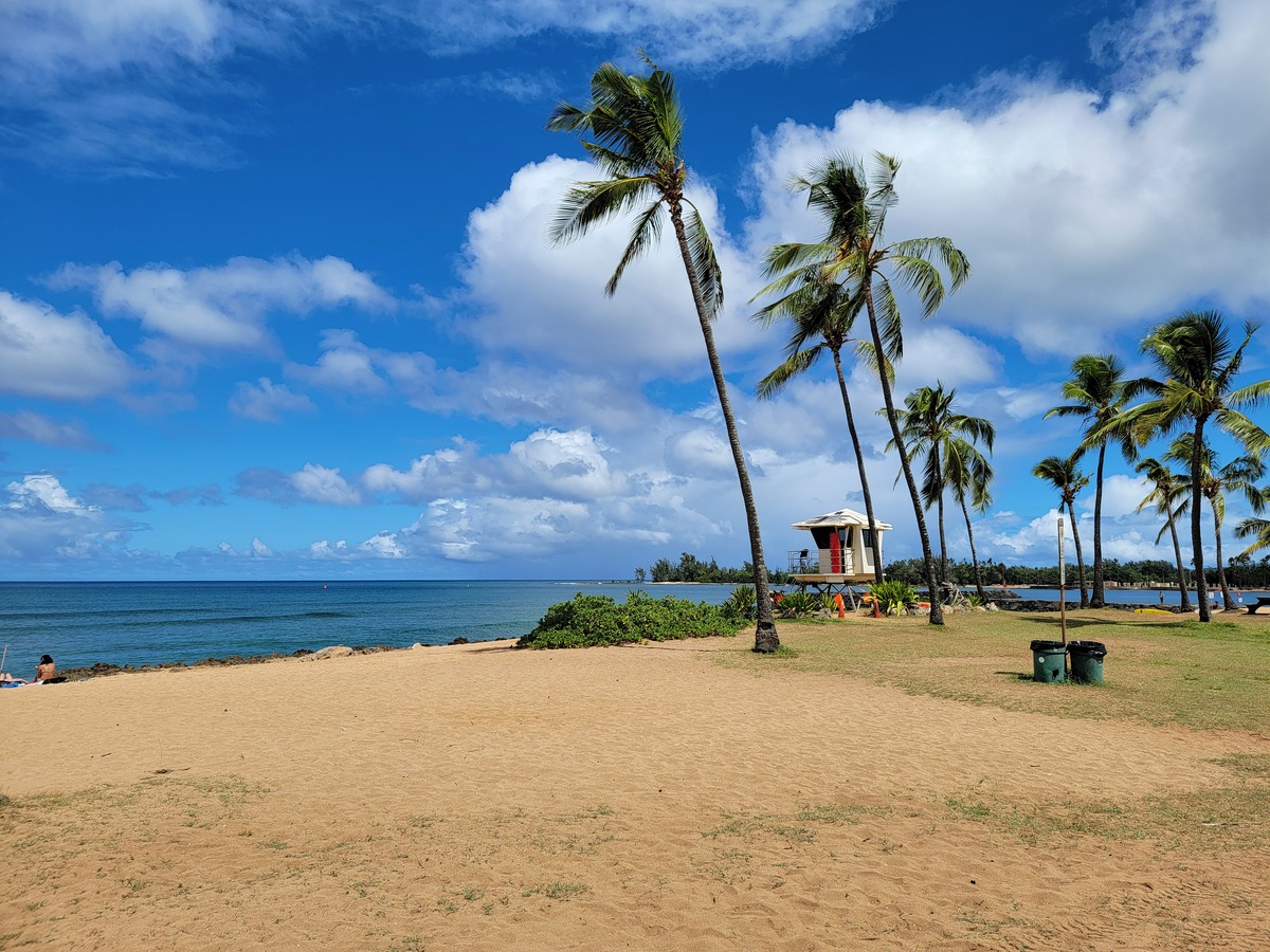 海南自由行攻略：探索热带岛屿的独特魅力
