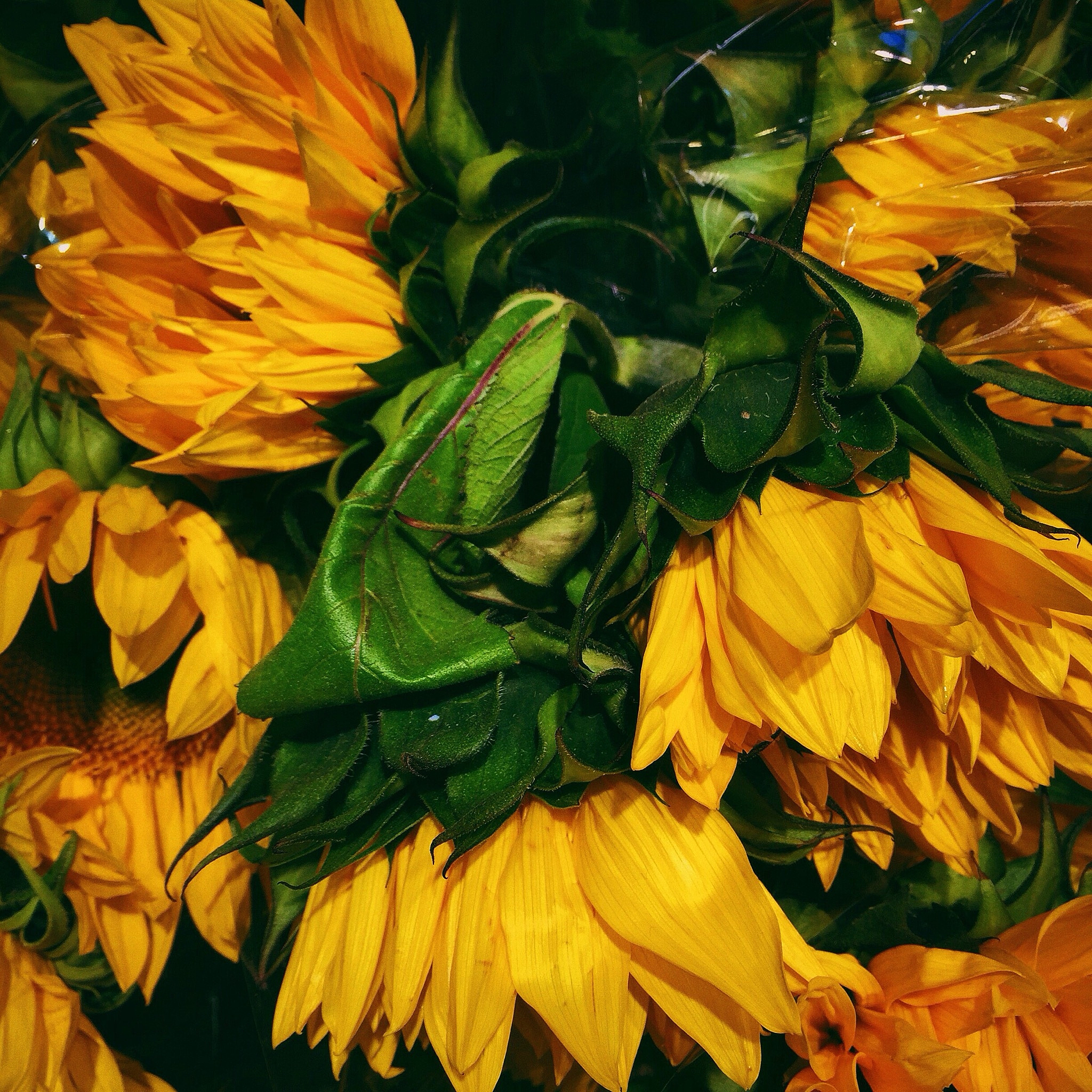 盛放的栀子花：一幅综合材料油画艺术品赏析