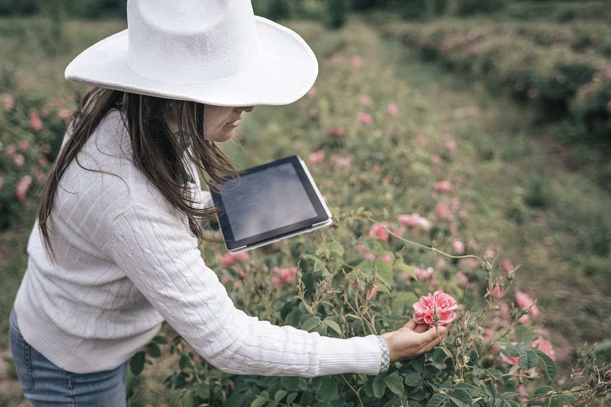 辽宁农业职业技术学院单招有高铁乘务专业吗
