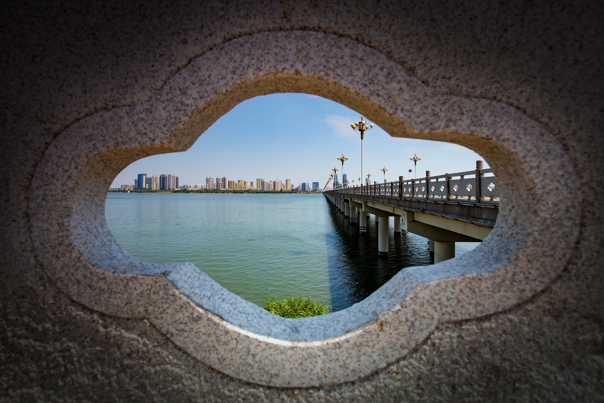 临沂卫生学校2021年多少分能报考