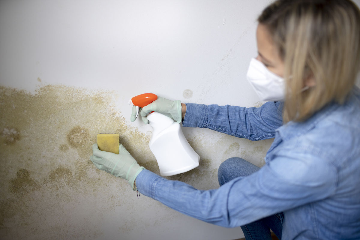 墙上霉菌最怕的克星？