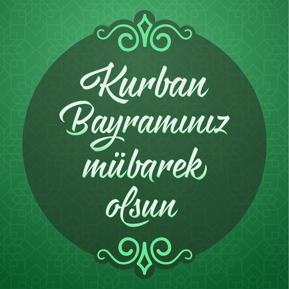 翻译：拍摄更多照片，关闭美颜，可以拍视频吗？