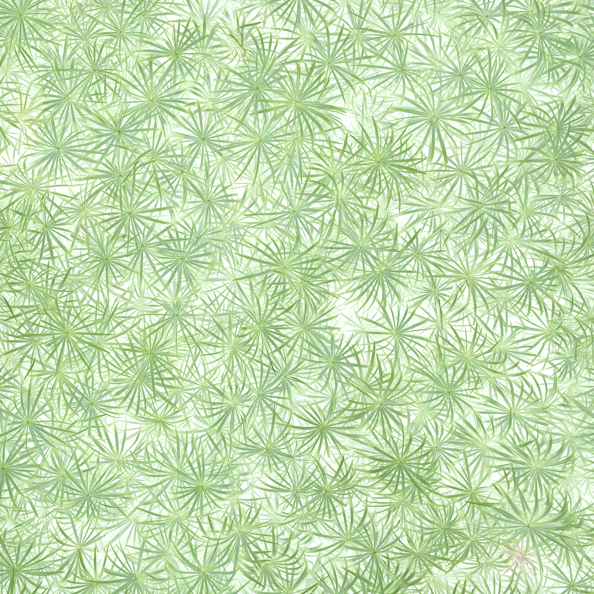 平江县职业技术学校作物生产技术专业能够考取哪些资格证书