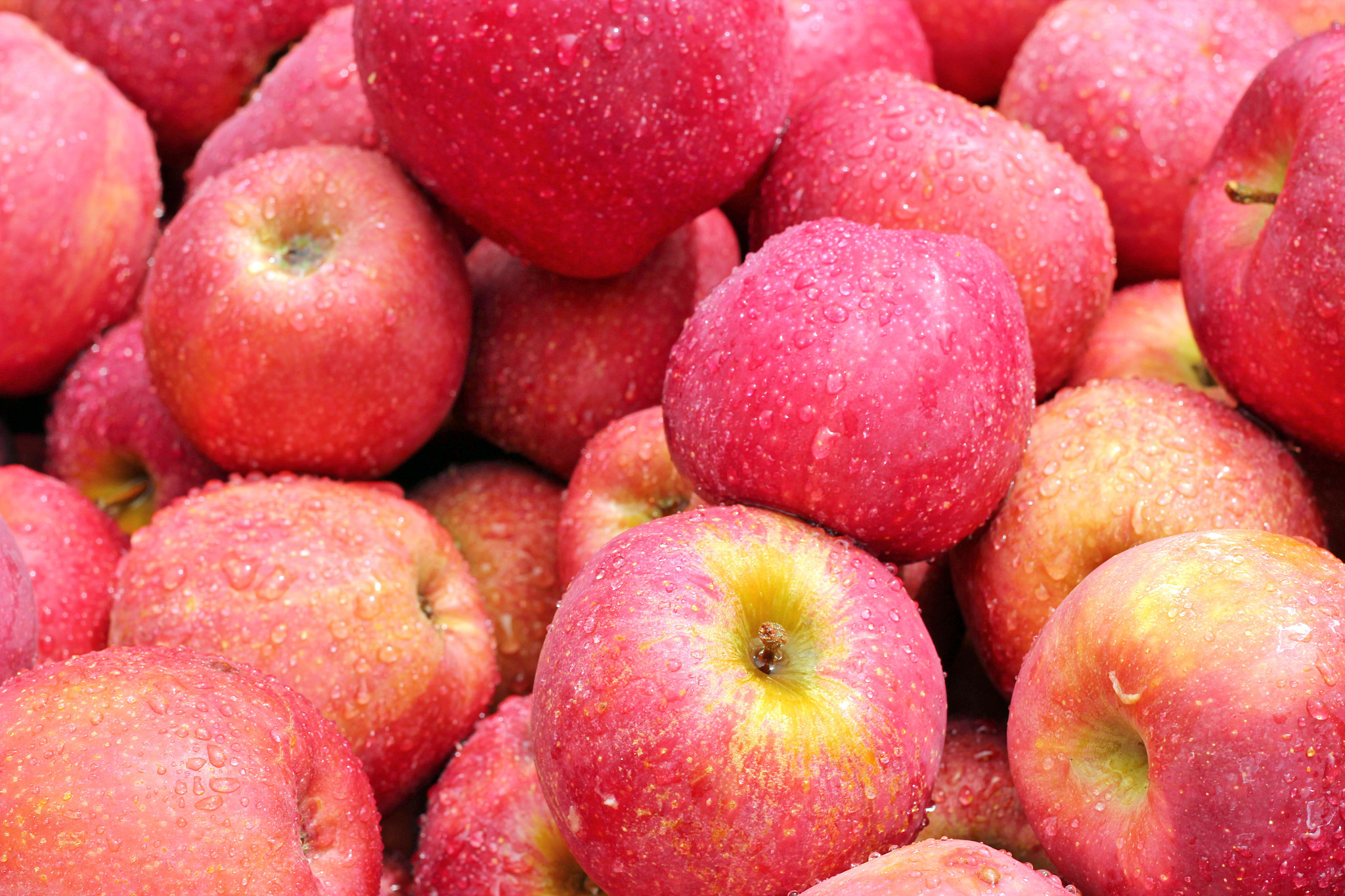 apples