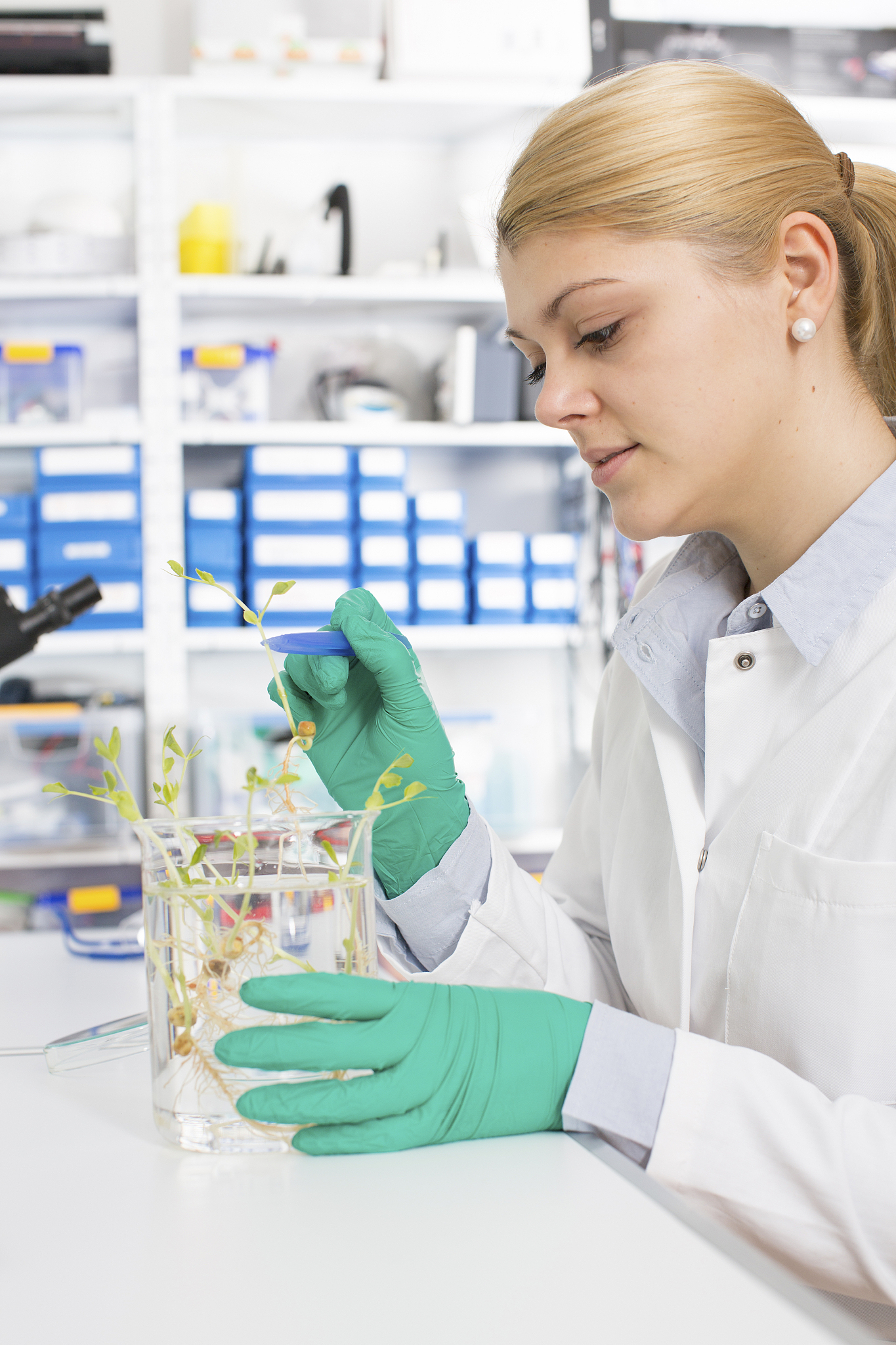 biological research