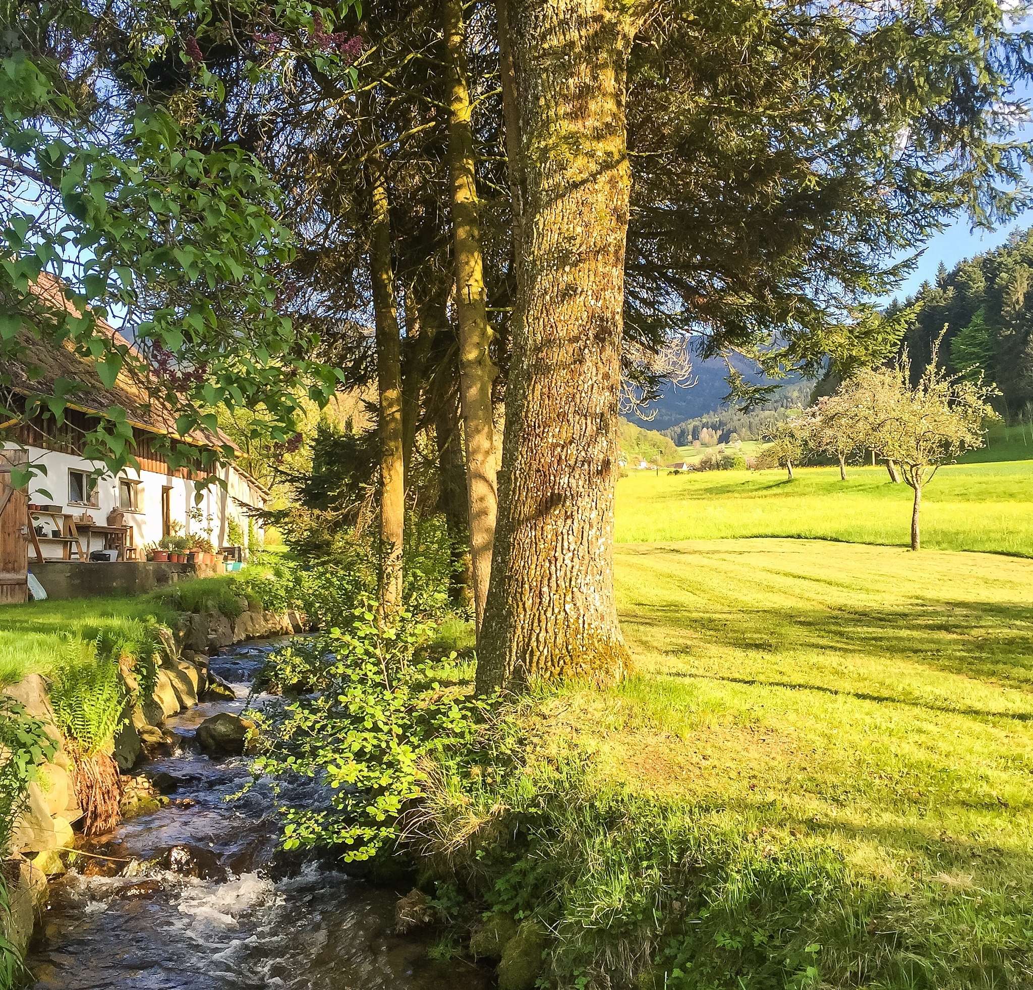枯藤老树昏鸦小桥流水人家 描述下具体的景色用英语