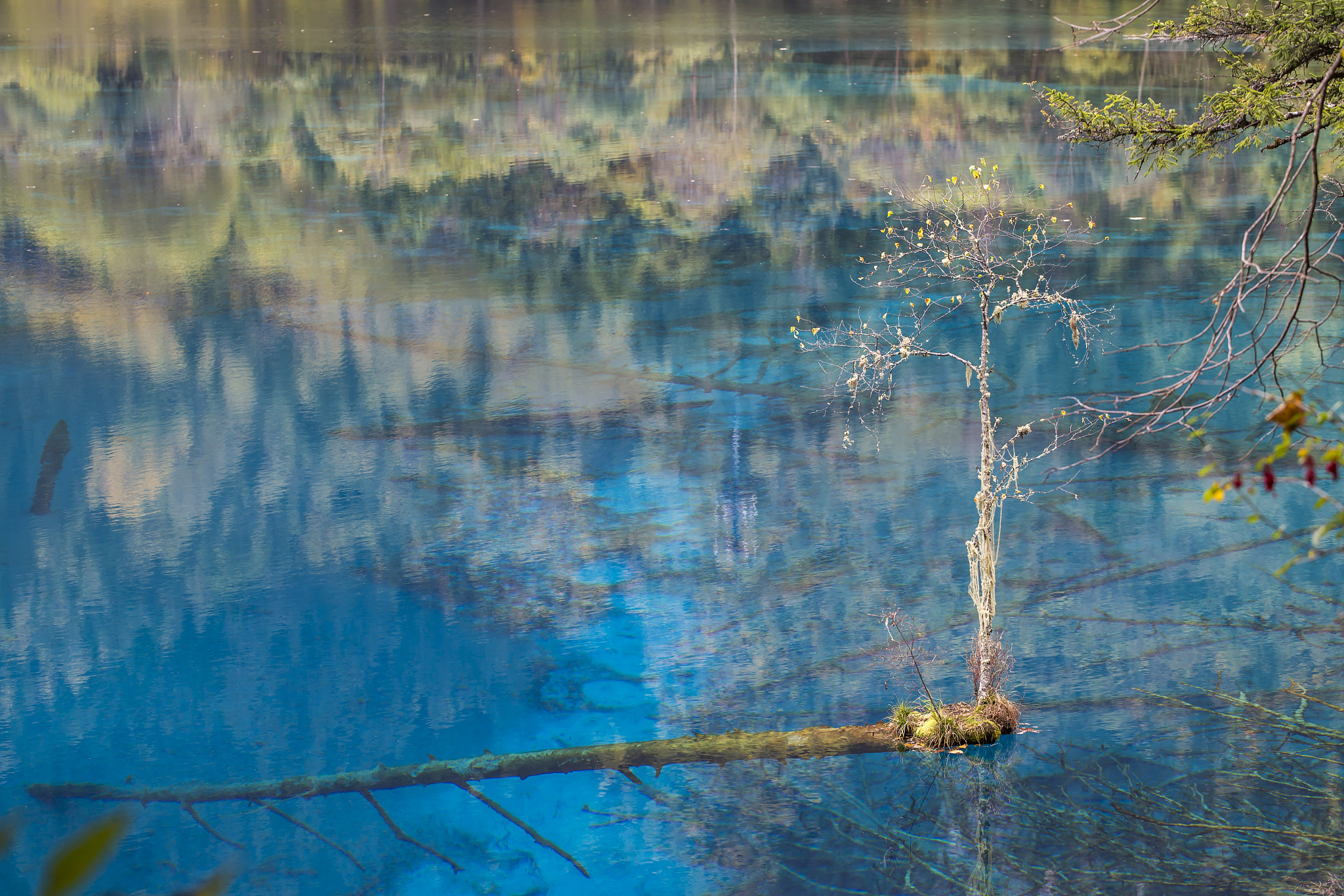 近现代花水月意象新解：从自然环境到人类情感