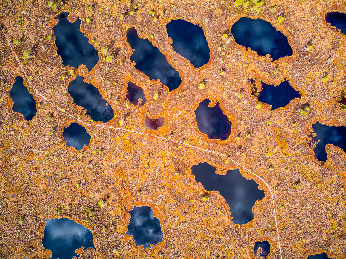 LAND DEGRADATION & DEVELOPMENT 期刊：土壤科学、环境科学、农业科学领域权威期刊