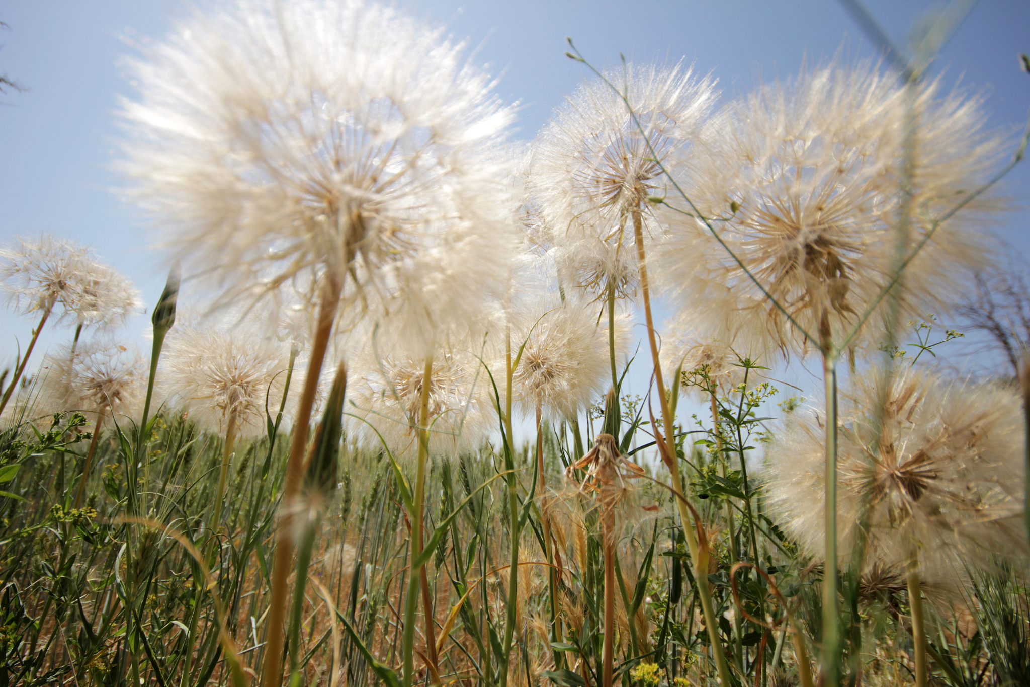 商丘职业技术学院种子生产与经营专业怎么样