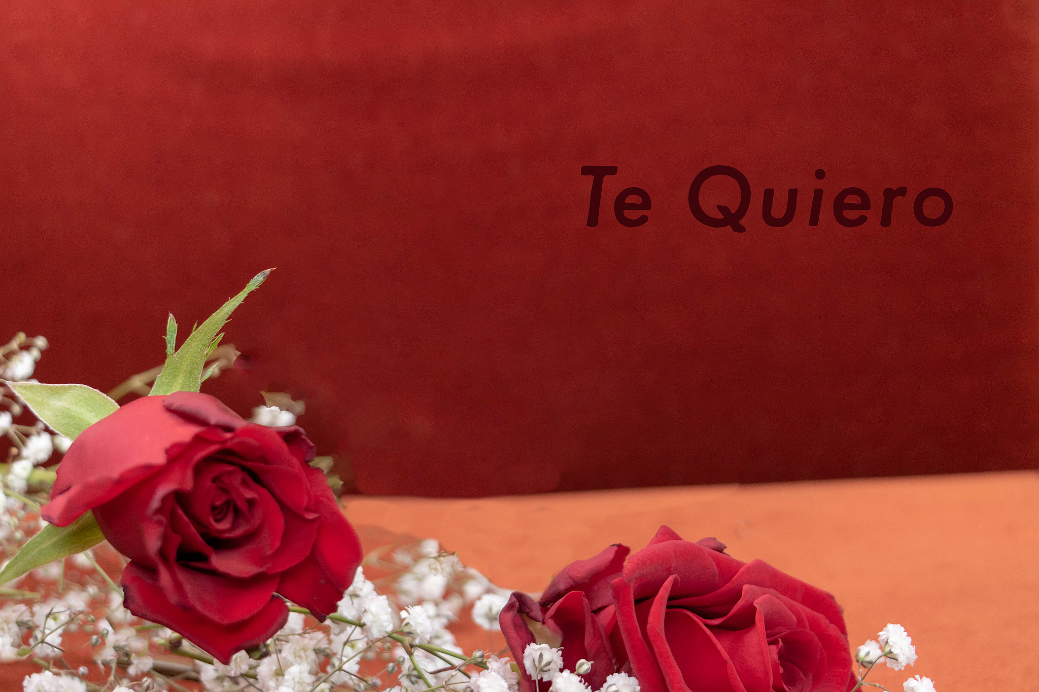 une rose et le message en espagnol 'te quiero'