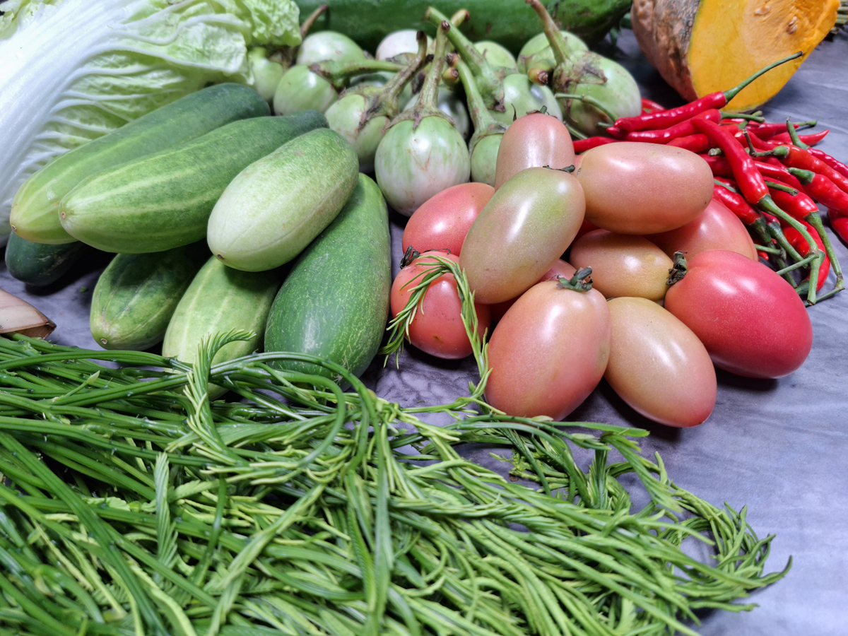 辣椒是蔬菜吗？| 营养价值、品种和用途详解