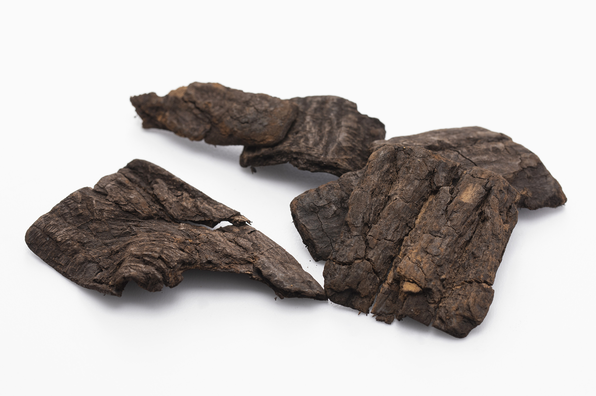 2020年丹东中医药学校招生简章 - 报名指南及录取条件