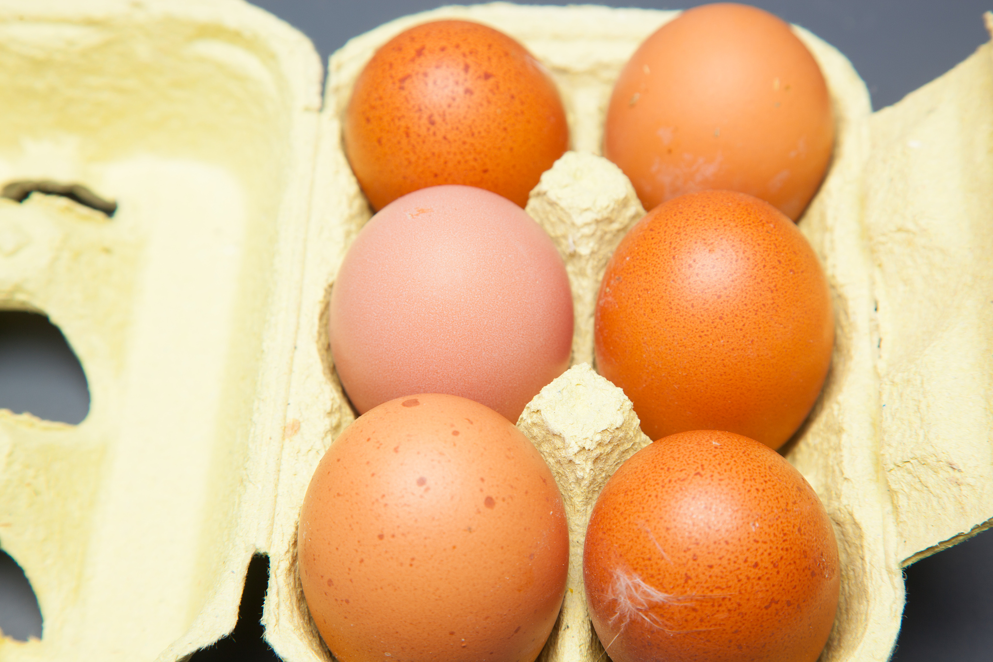 fresh chicken eggs