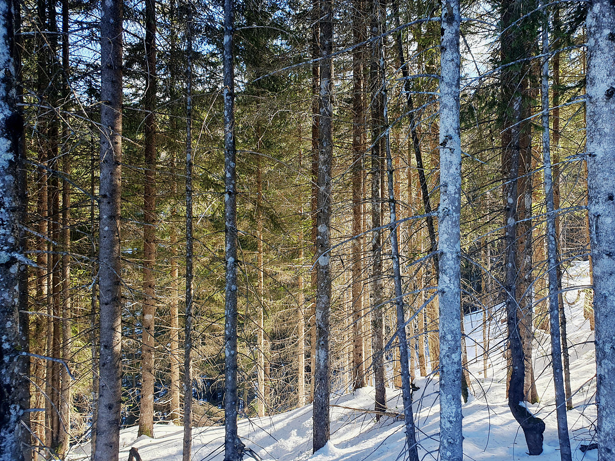 山东华德职业中等专业学校就业率高吗？毕业生就业情况怎么样？