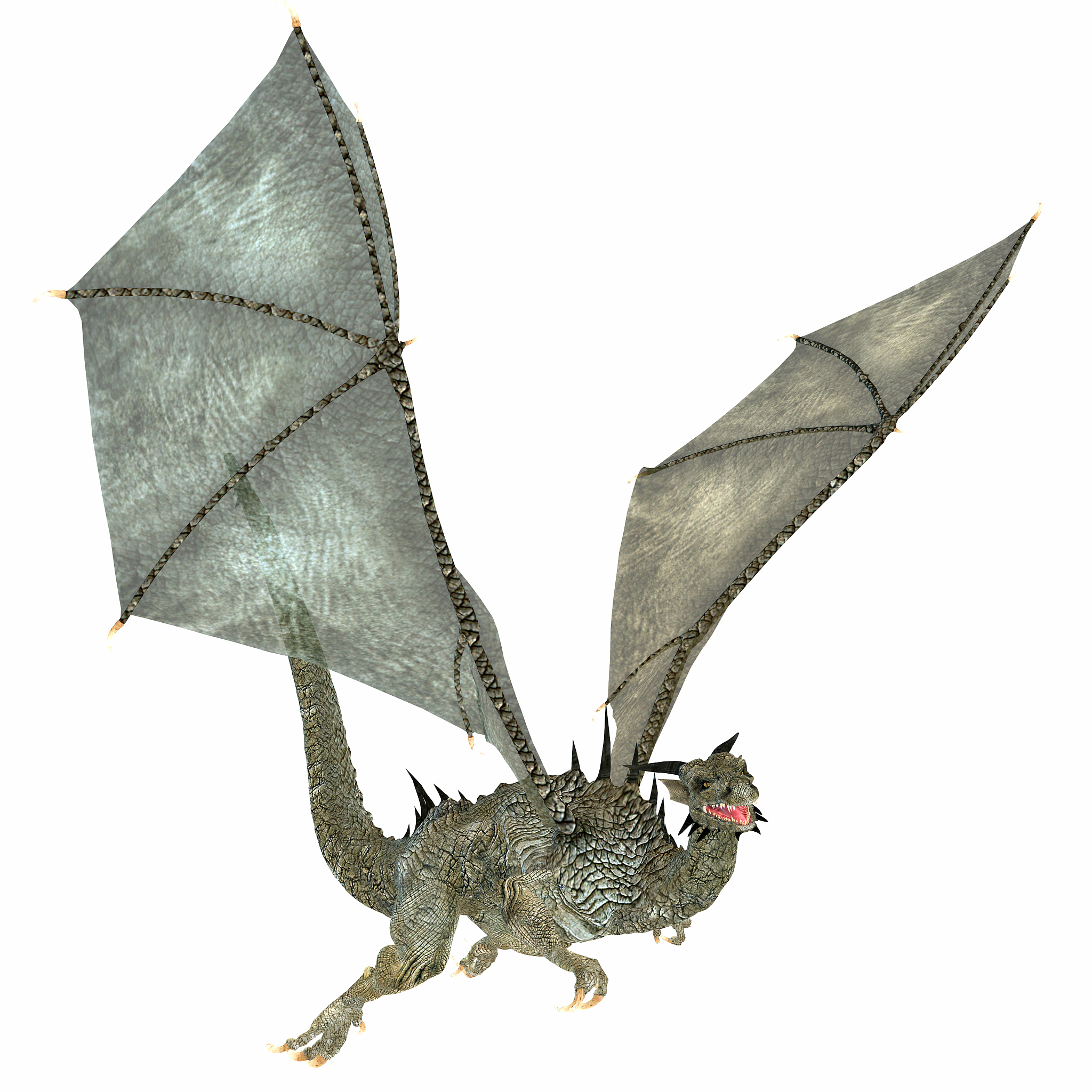 nice dragon