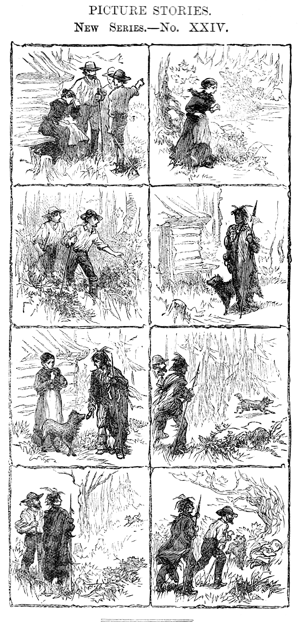 乐于助人的艾米：一位年轻道德模范的故事