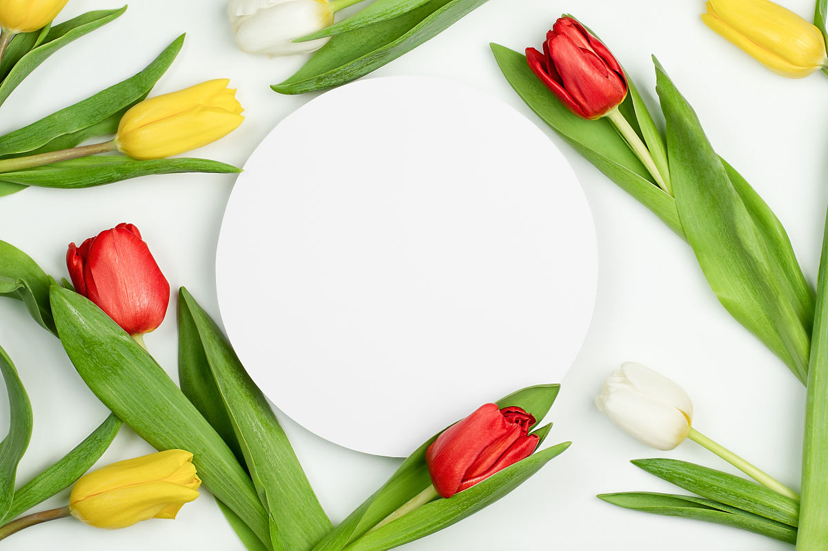 写一个描写春天的作文