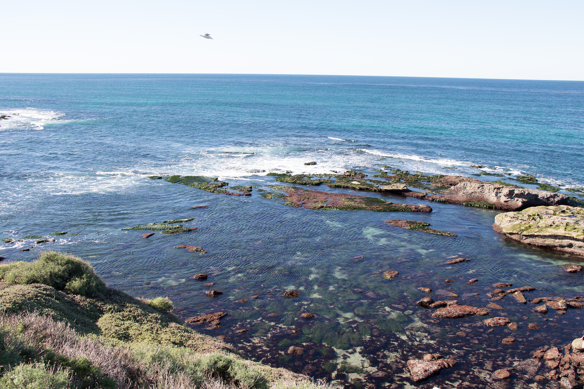 海滩环境处理的社会实践方案