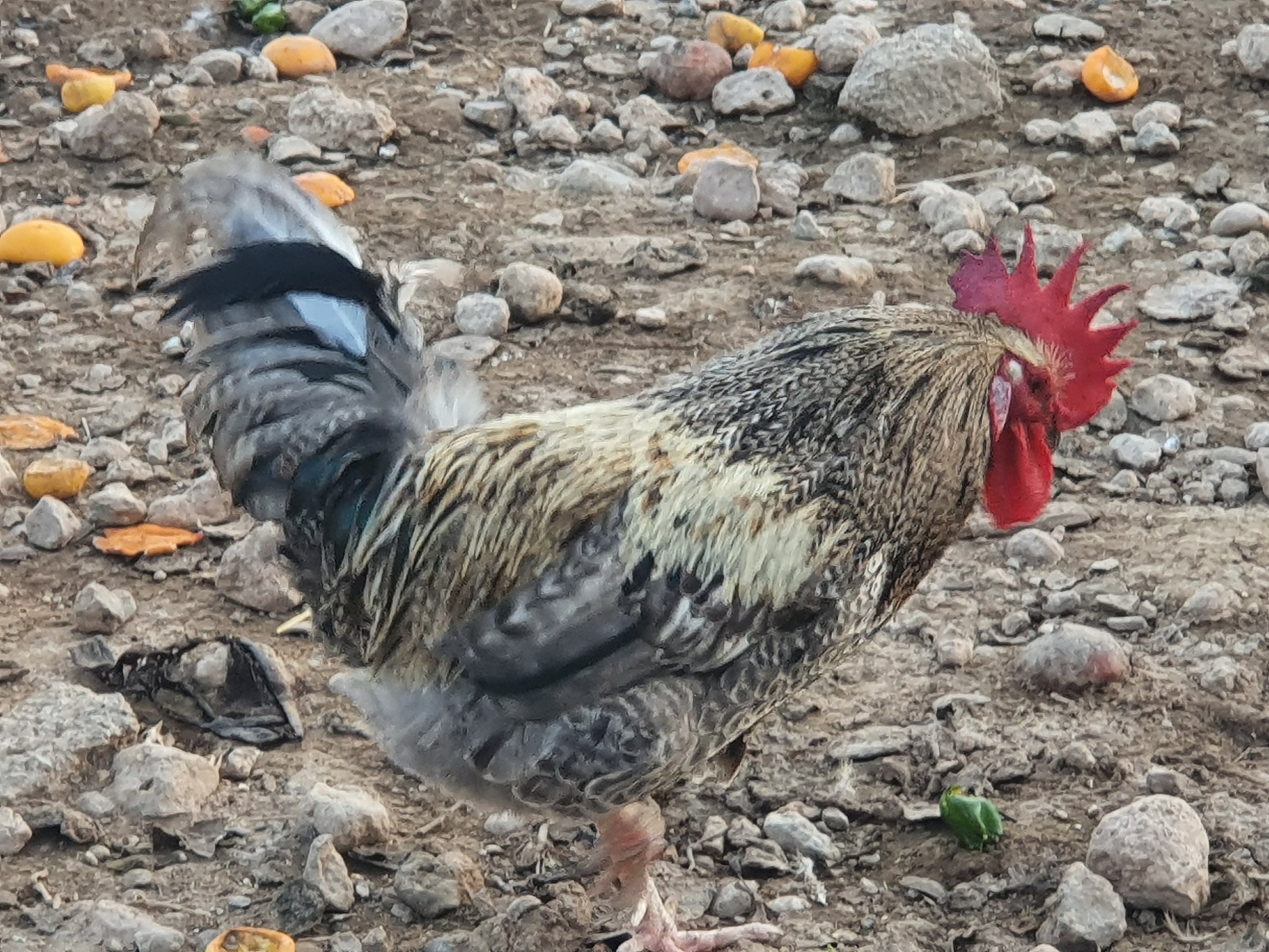 Cómo hidratar la piel naturalmente: 8 consejos efectivos