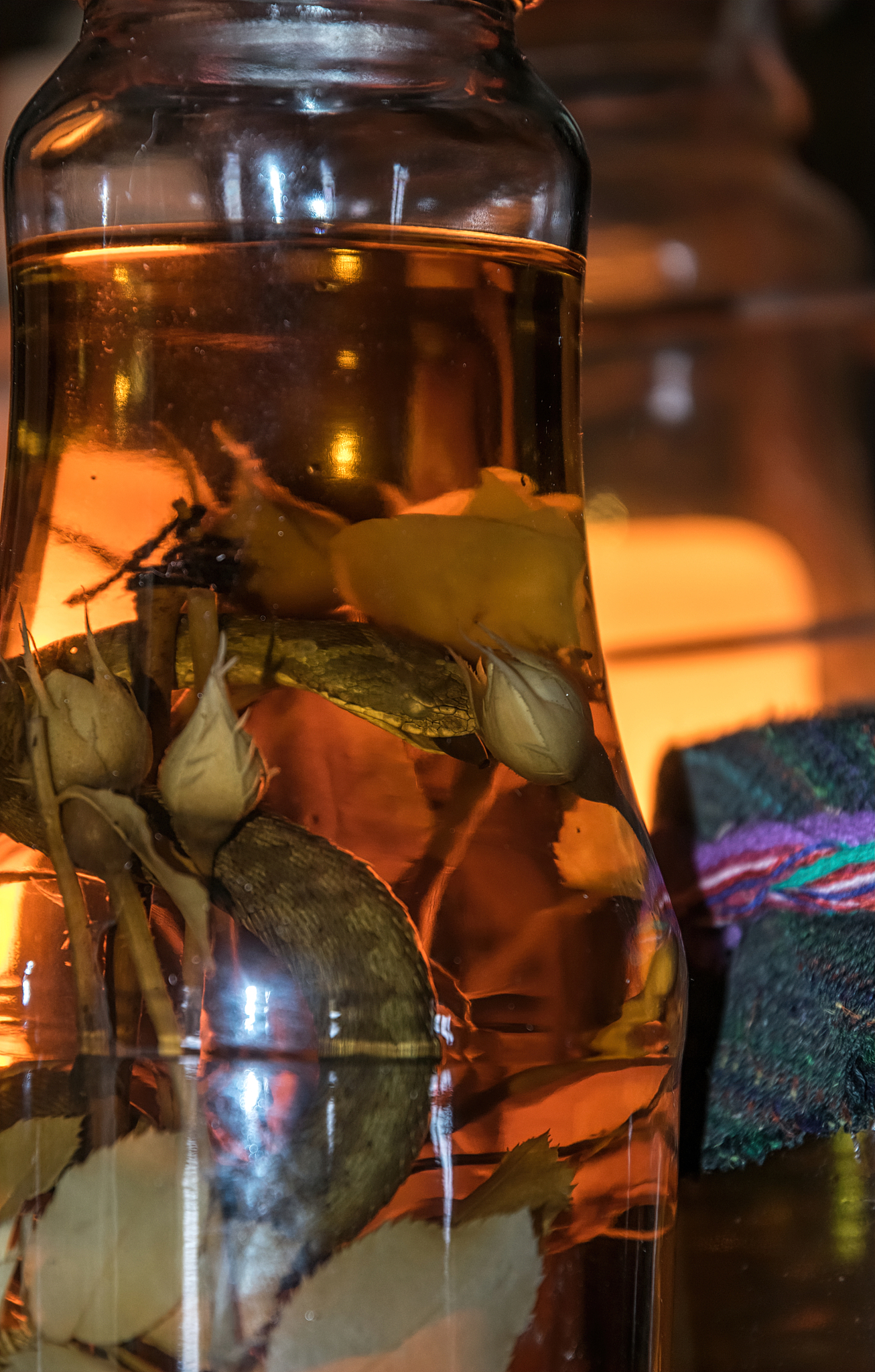 水蛭泡酒的功效与作用 - 活血化瘀、解毒消肿、补肾壮阳