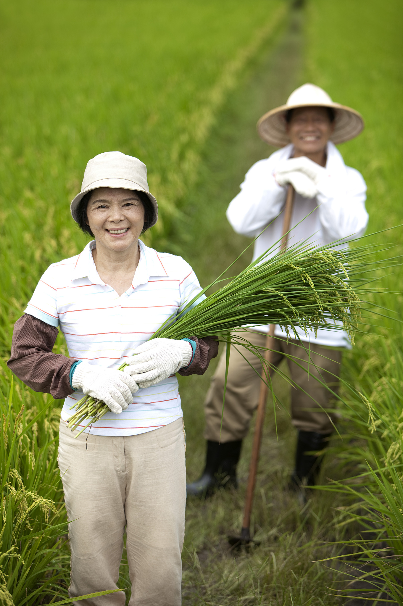 贵州农业职业学院畜牧兽医专业好不好？就业前景深度解析