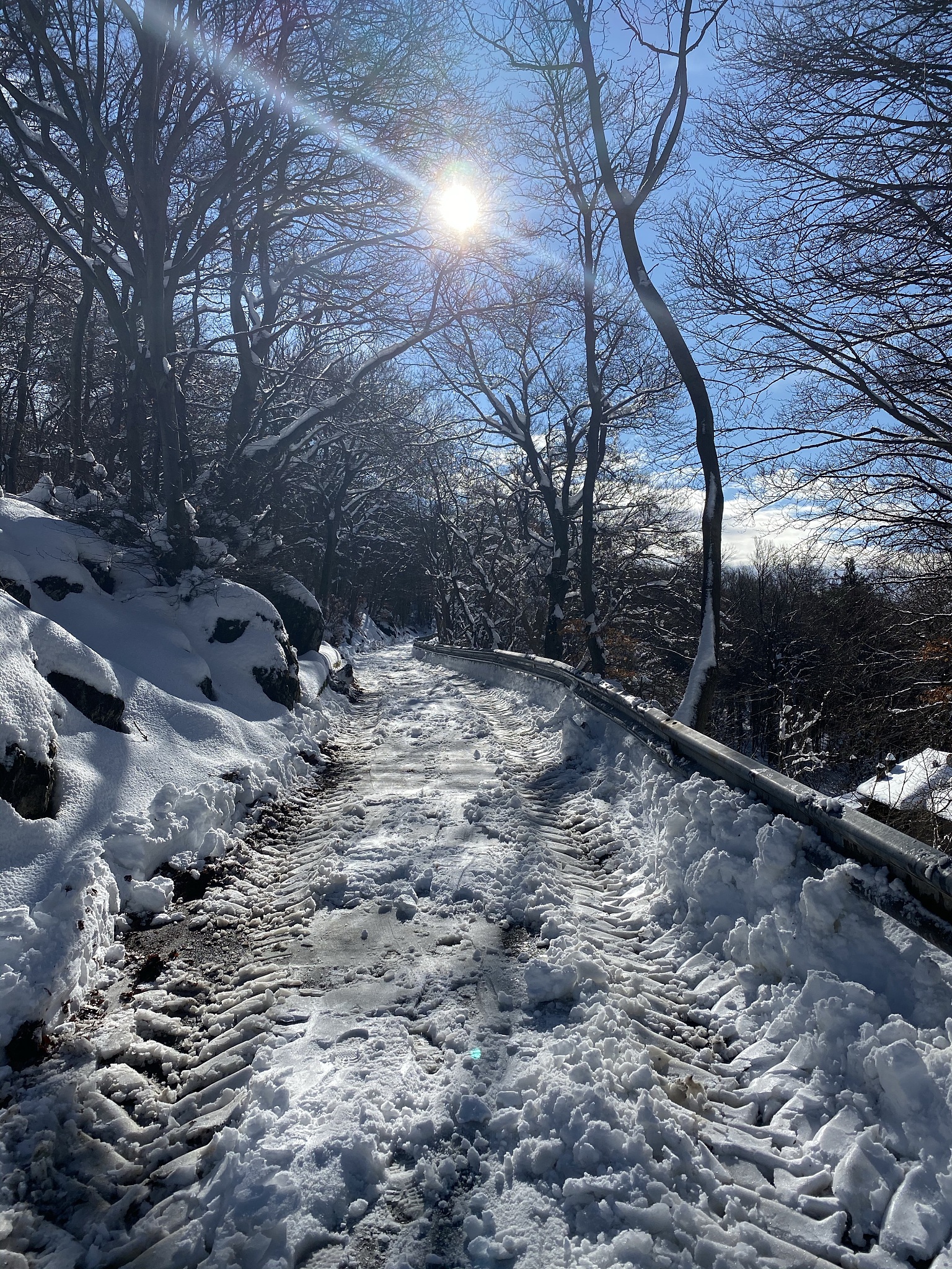 雪夜小径：静谧之美，心灵之境