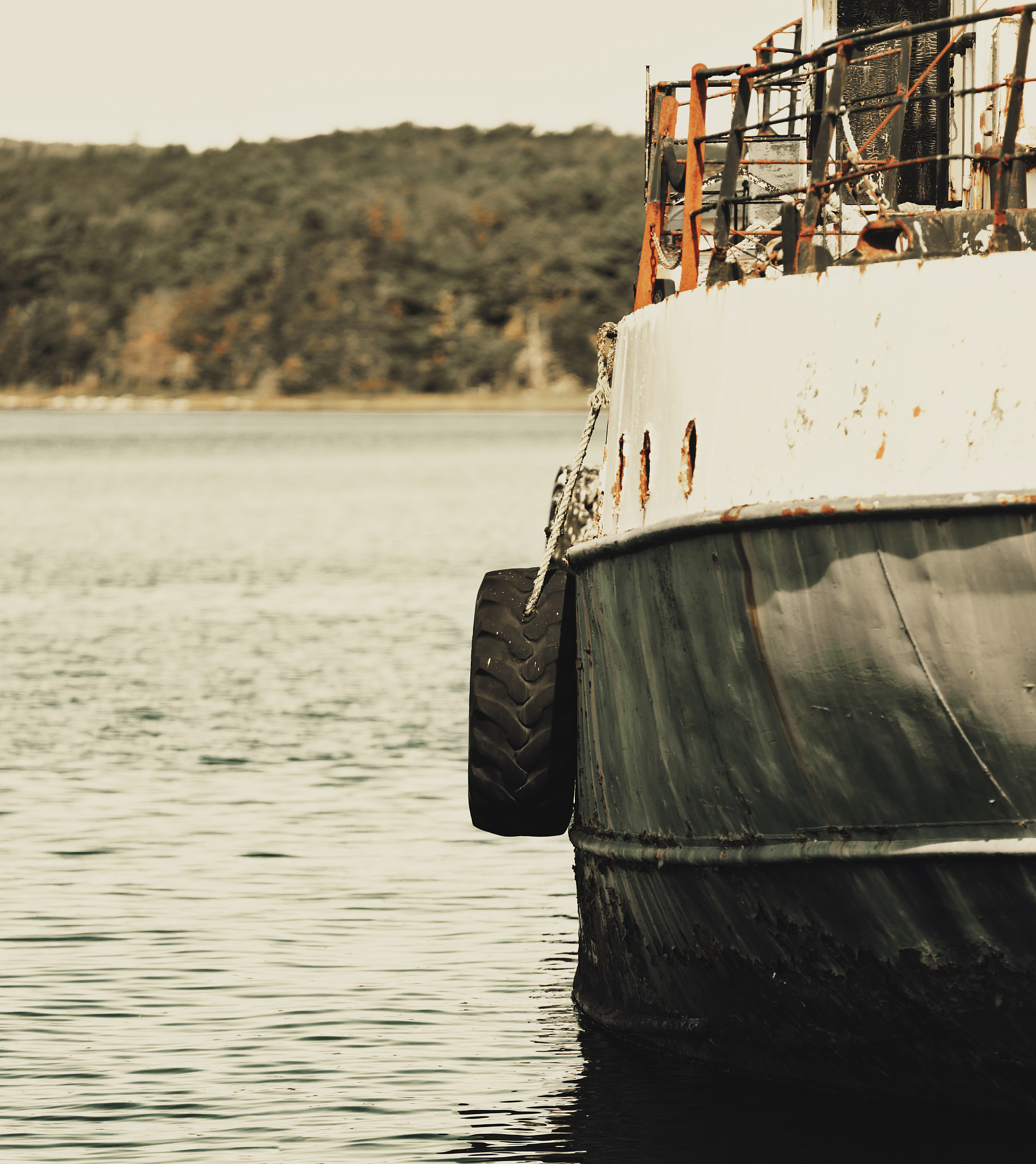 Controlling Ship Sewage Discharge: A Look at China's Technical Policy & Enforcement