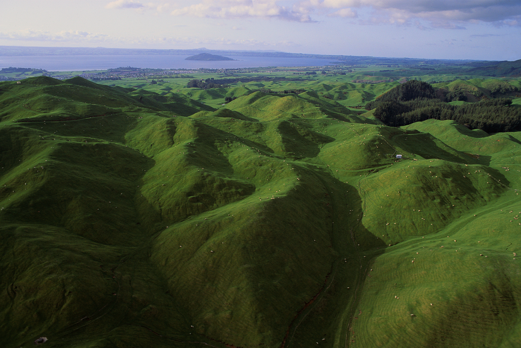 green hills on the north island