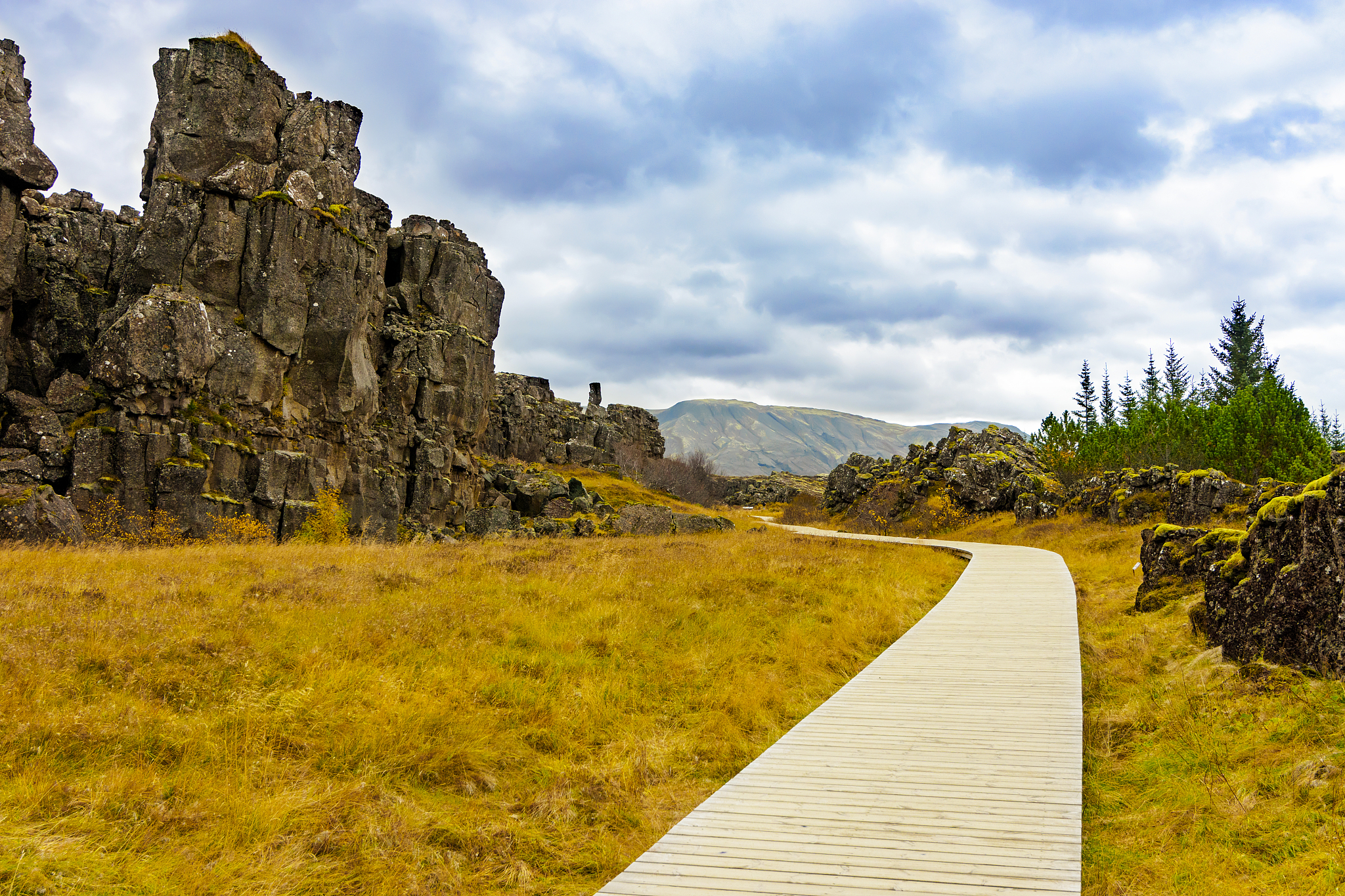 断层面积损失系数：评估断层活动对地表影响的关键指标