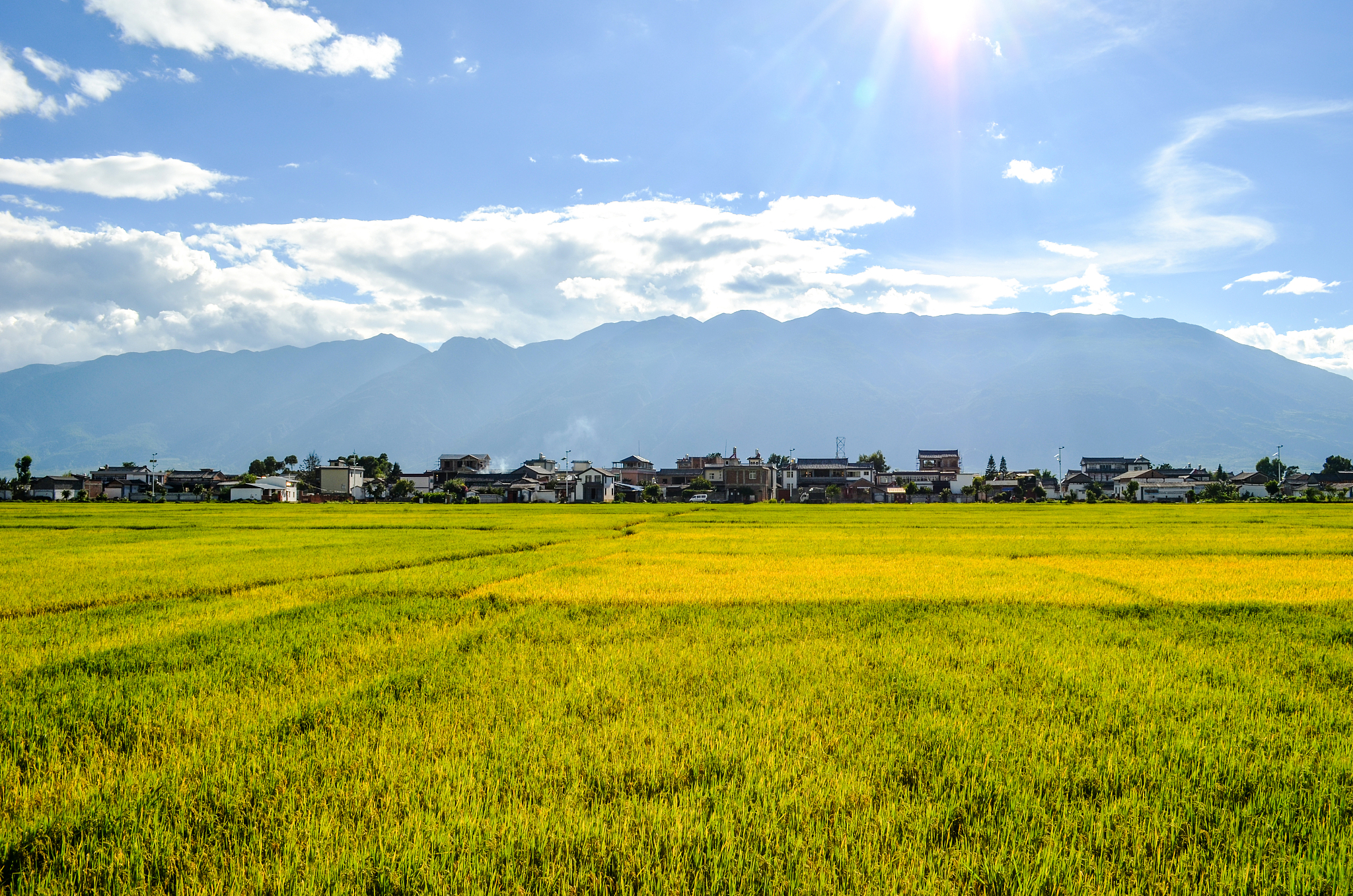 云南航空林业学校官网多少