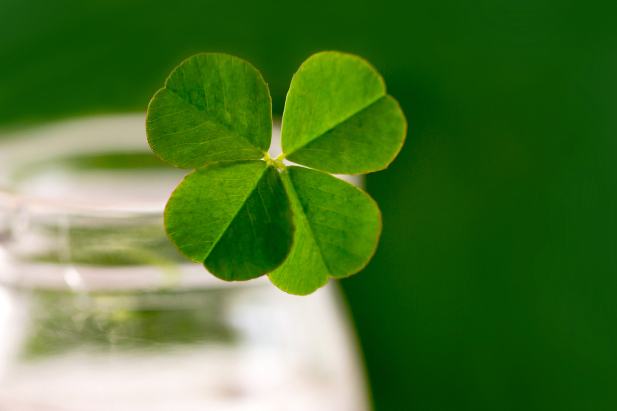 星座说的绿叶运是什么运