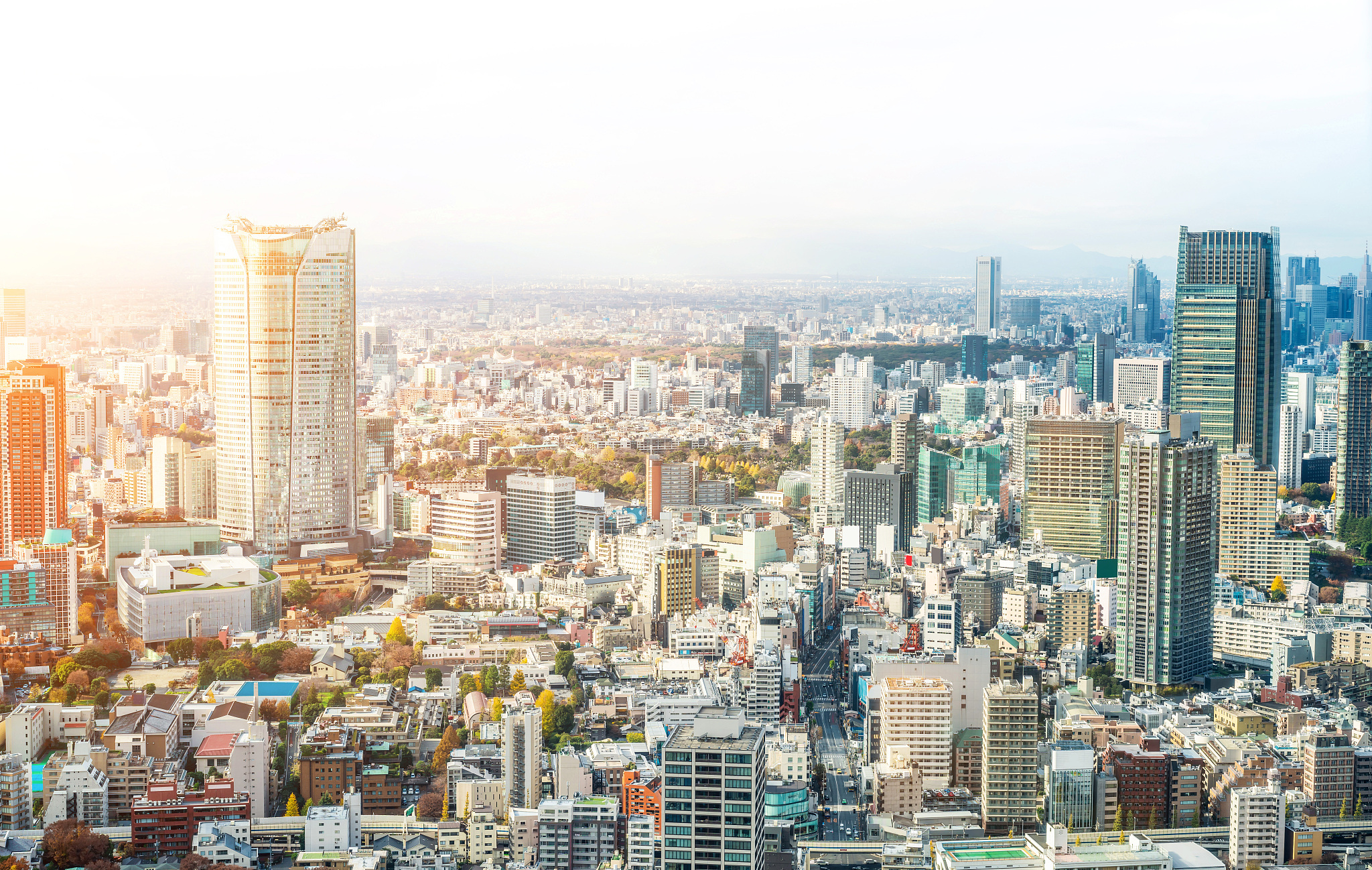urban city skyline aerial view in tokyo, japan