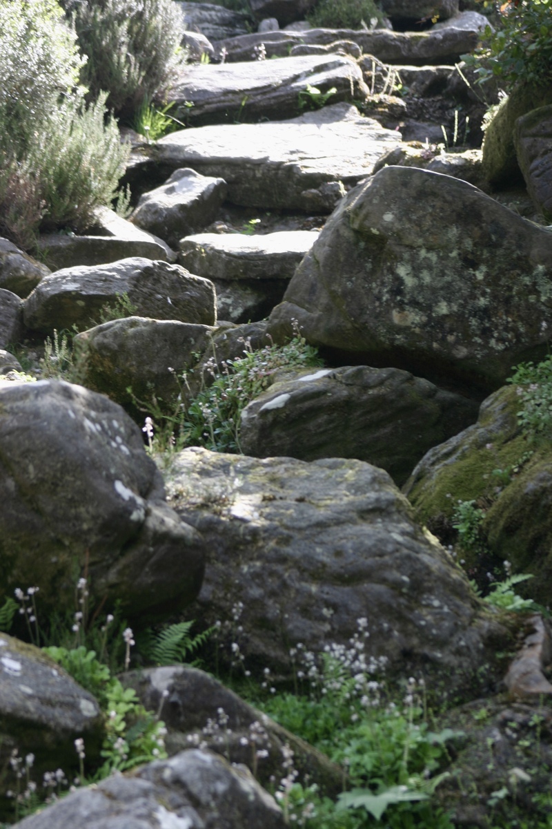 探秘搭石山：自然之美与心灵的洗涤