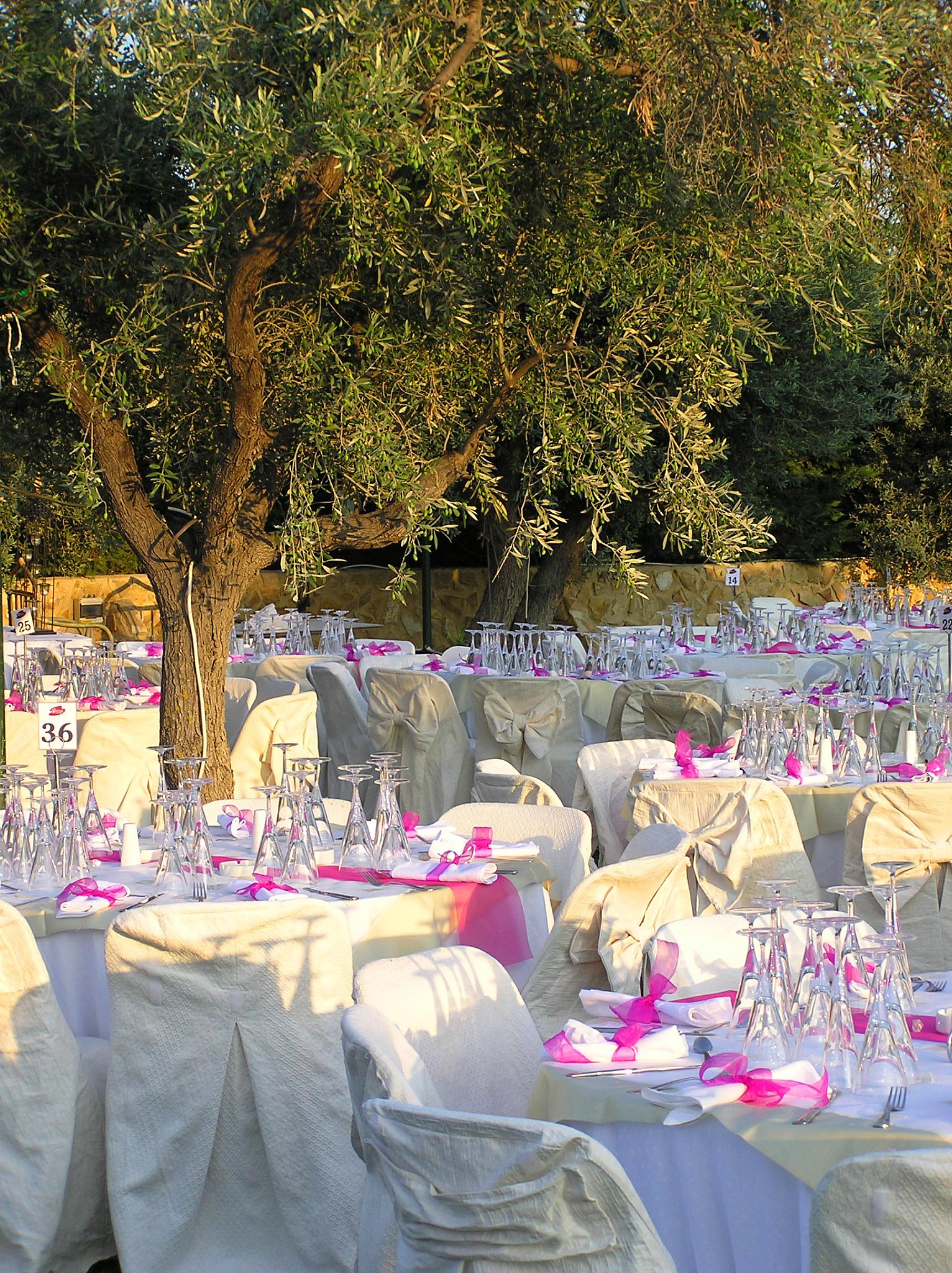 30人户外派对策划指南：主题、场地、娱乐全攻略