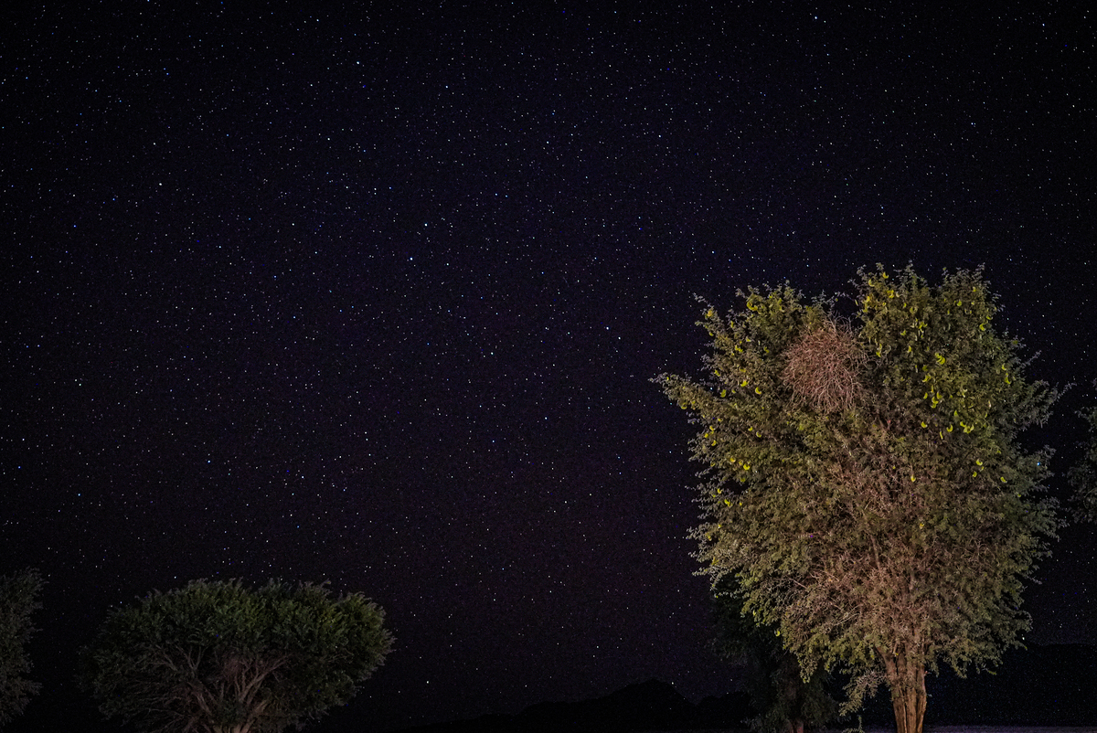 中国保护暗夜星空：重拾星光，守护未来