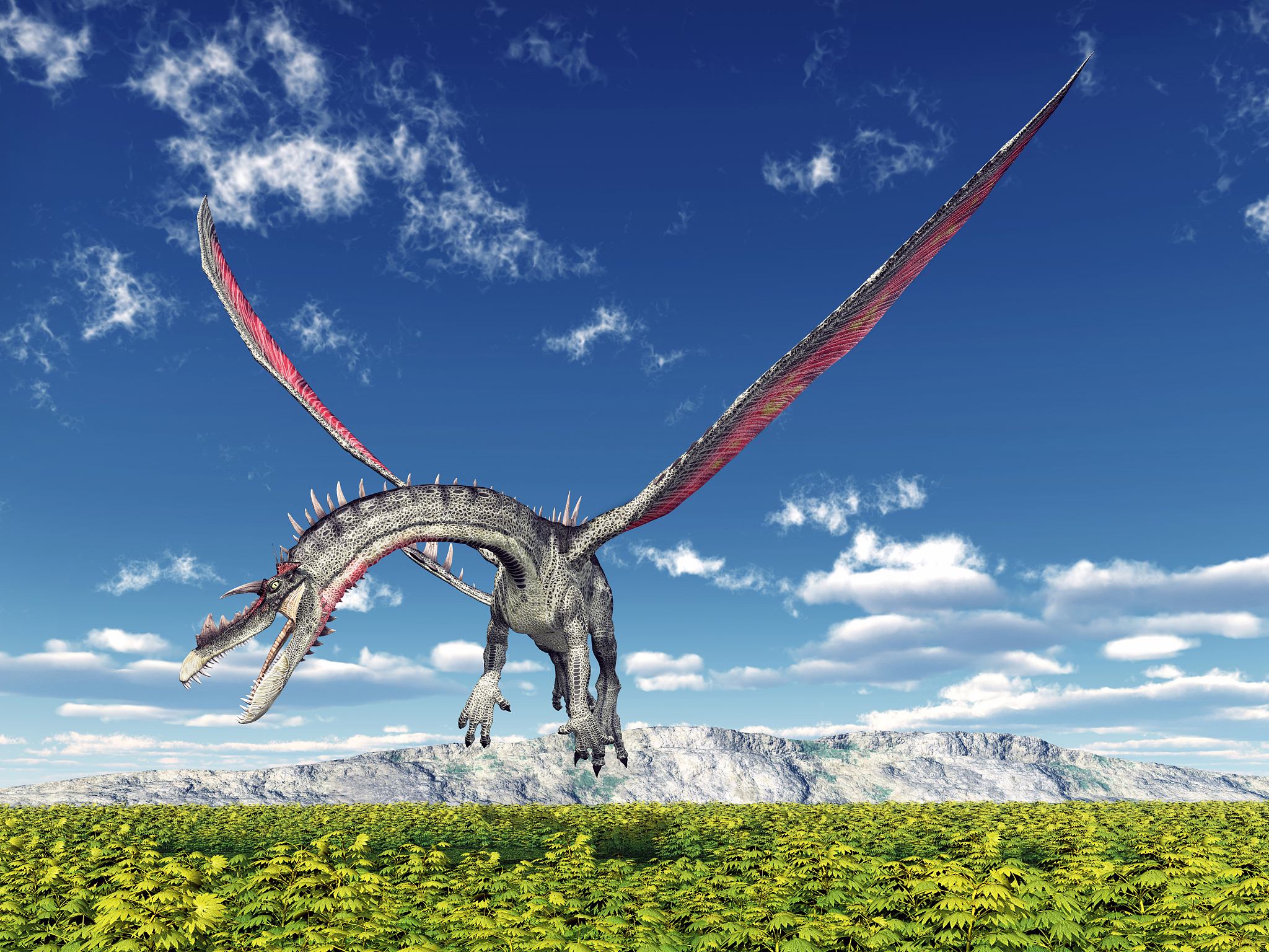 flying dragon